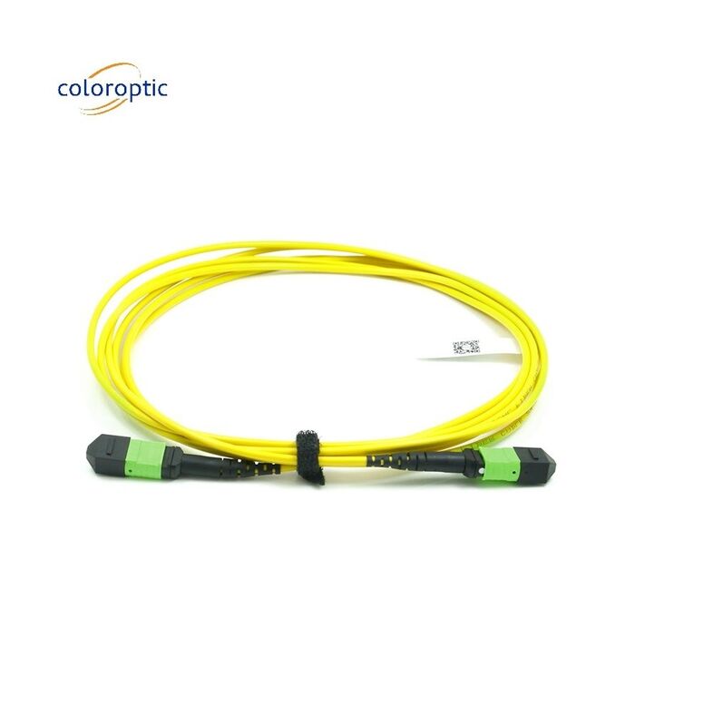 パッシブオプティカルシングルモードパッチコード MPO-12 / APC-To-MPO12 / APC