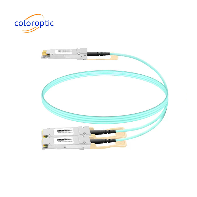 3m AOC DACケーブル 10Gbps 800G OSFP から 2*400G QSFP112 リンク